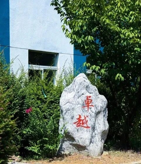 Business professionals in a trade negotiation meeting discussing Single Screw Extruder Machine import-export policies between